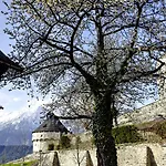 Schloss Friedberg Lodge *